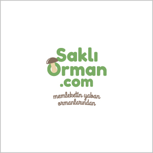 sakli_orman_logo